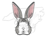 Easter Bunny Sublimation Design